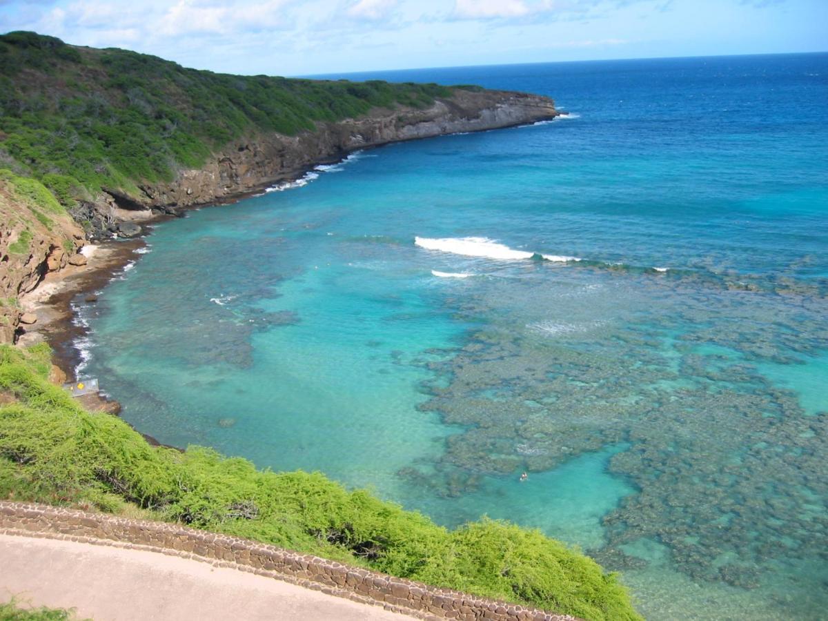 Free Parking, Pool, Sauna, Spa, Wifi, Bbq, Ac - Waikiki Banyan Гонолулу Екстер'єр фото