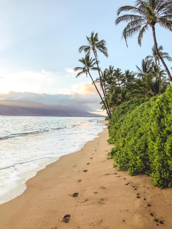 Free Parking, Pool, Sauna, Spa, Wifi, Bbq, Ac - Waikiki Banyan Гонолулу Екстер'єр фото